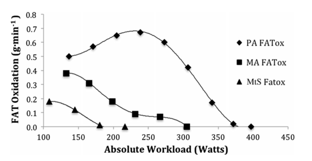Graph showing the relationship between absolute workload in watts and fat oxidation.