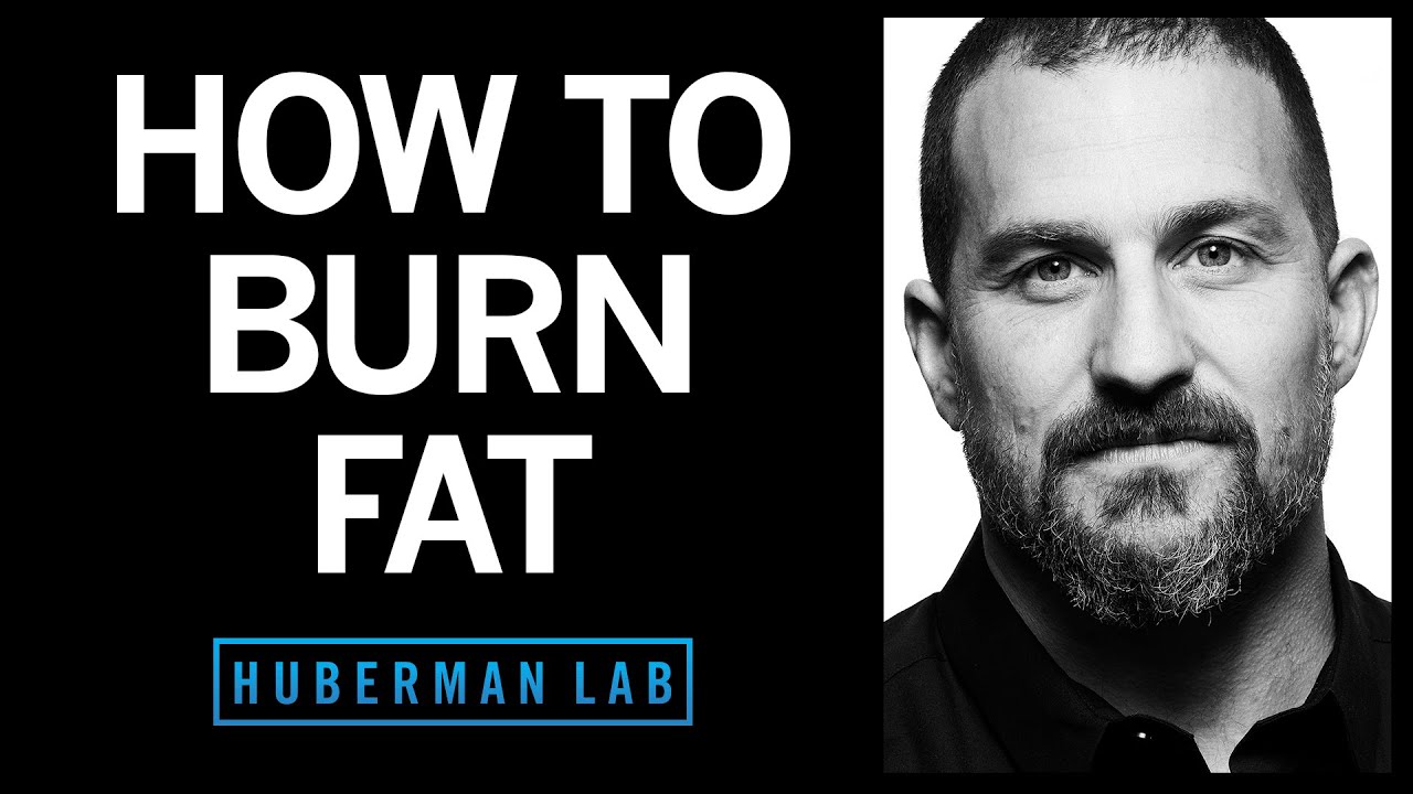Andrew Huberman Huberman Lab How to Burn Fat