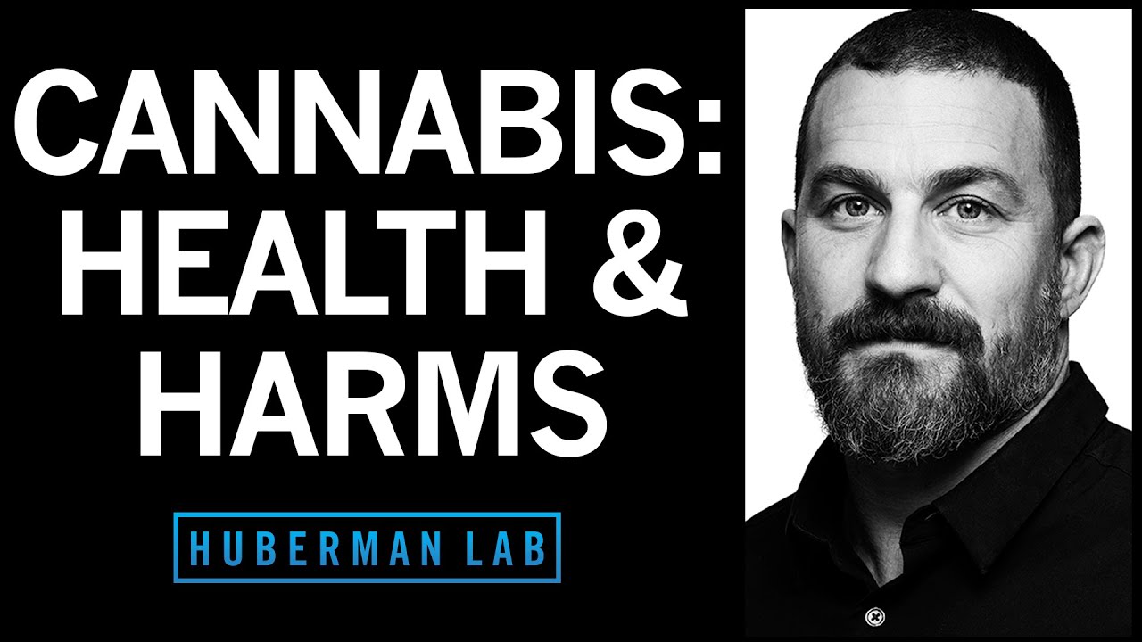 Andrew Huberman Huberman Lab Cannabis Health and Harms