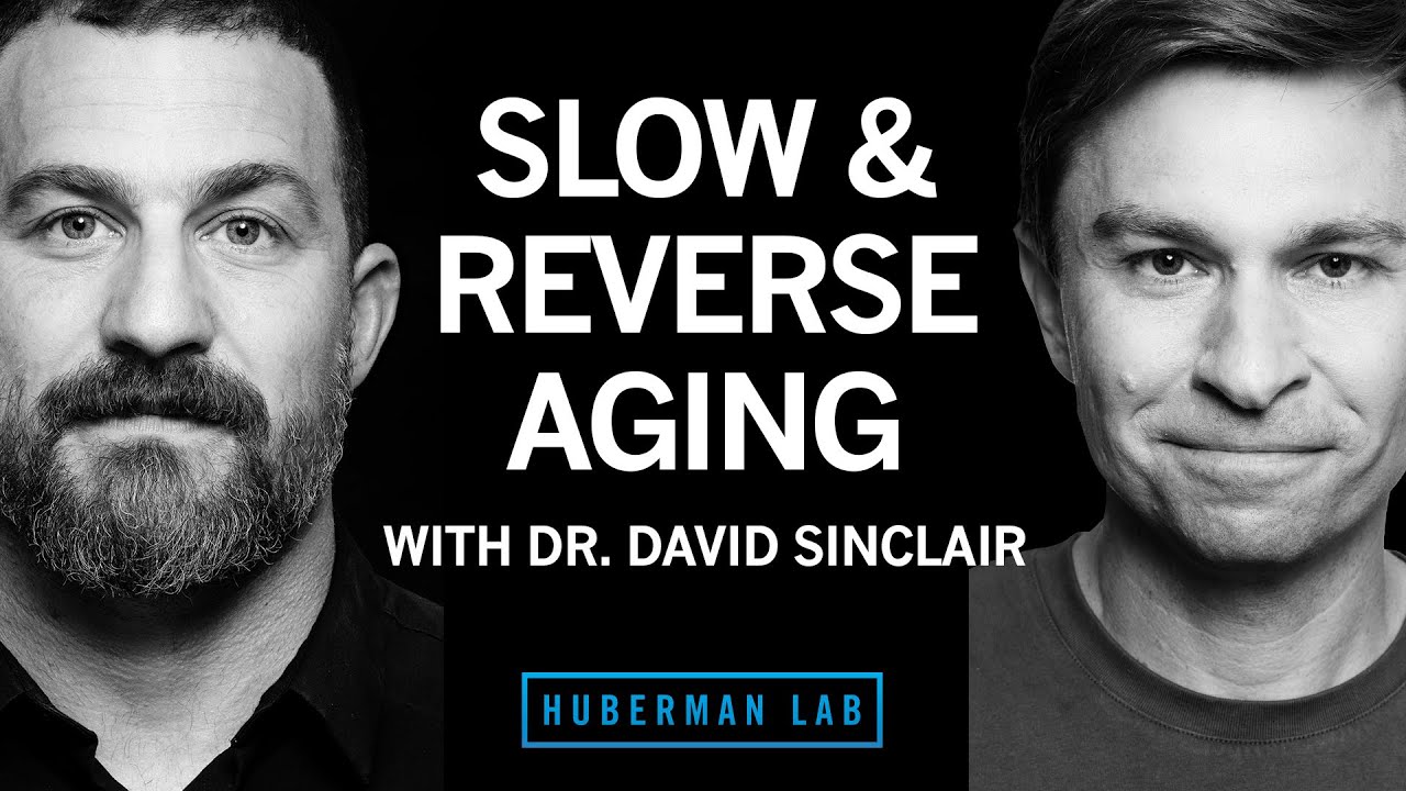 Andrew Huberman Huberman Lab Slow and Reverse Aging